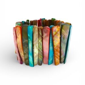 Multicolor Shellstone Artisan Bracelet
